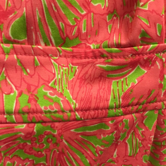 Lilly Pulitzer Dress - Picture 6 of 9